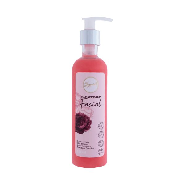 Anyeluz Jalea Facial * 250 mL