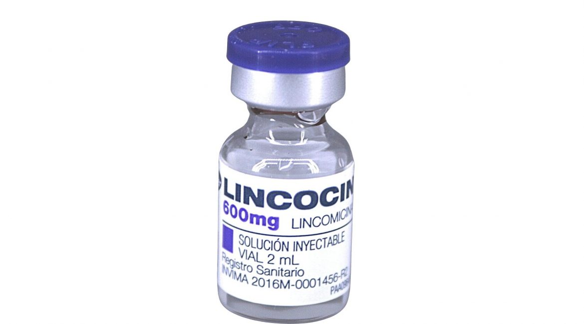 Lincocin 600 mg amp. 2 mL IM/IV