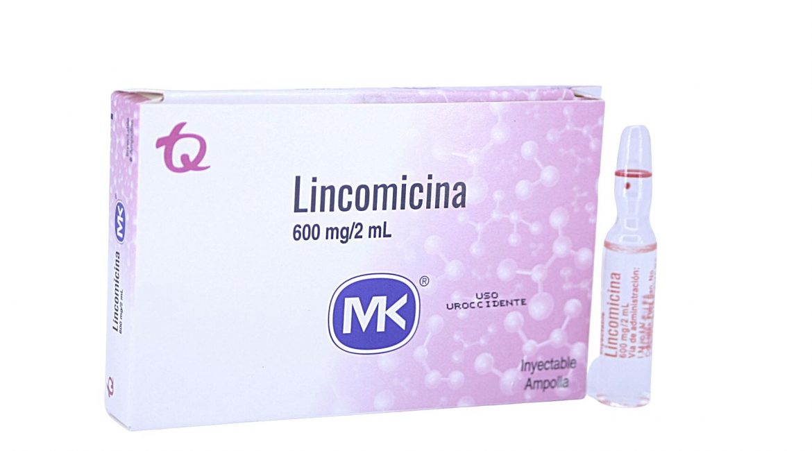Lincomicina 600 mg/2mL * 1 amp.
