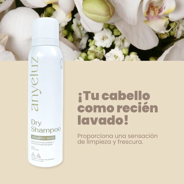 Anyeluz Shampoo Seco * 150 mL