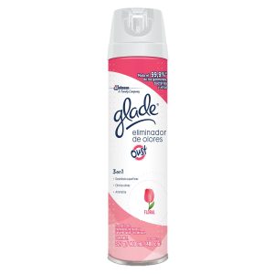 Oust spray desinfectante * 400 mL